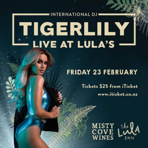 DJ Tigerlily at The Lula Inn