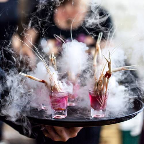 Dining During Auckland Arts Festival