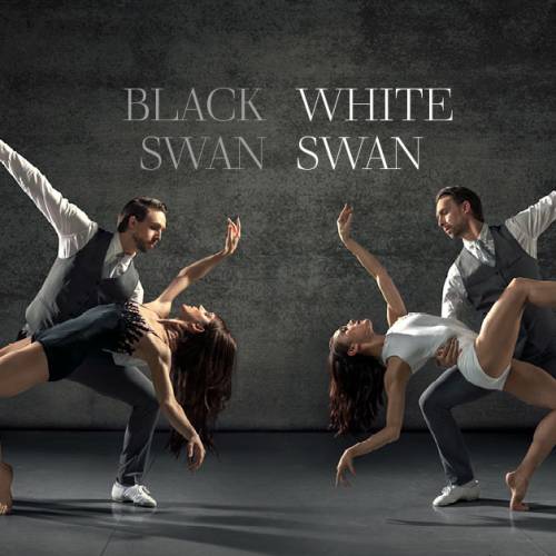 Black Swan, White Swan