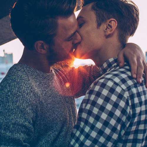 Homos, or Everyone in America Homos, or Everyone in America