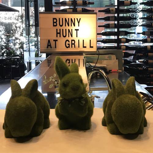 Bunny Hunt at SKYCITY