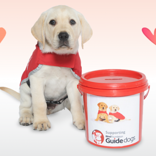 Red Puppy Appeal
