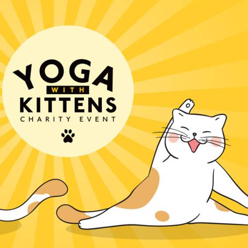 Yoga with Kittens