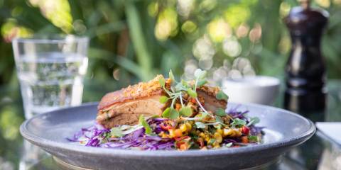 Pork and salad on plate