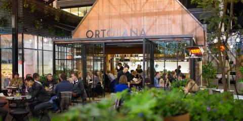 Ortolana