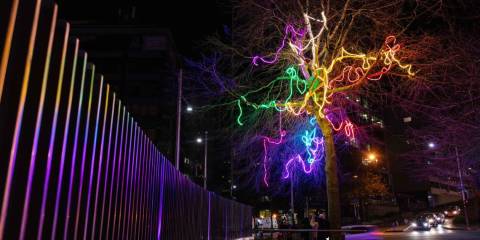 neon trees