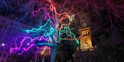 neon trees
