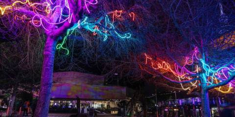 neon trees