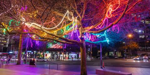 neon trees