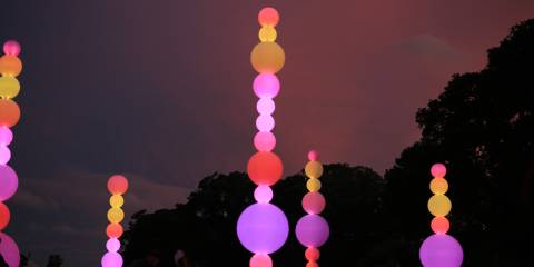 Lights by Angus Muir