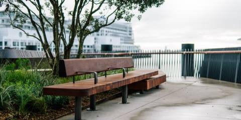 Te Wananga grove - Photo credit Auckland Council