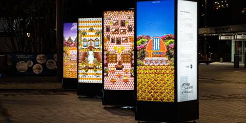 Lightboxes on Te Komititanga