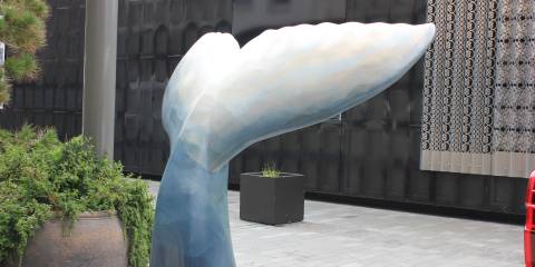 Whale-Tales-2022