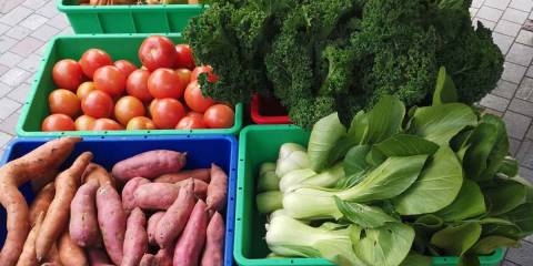 Freyberg Place City Centre Market 