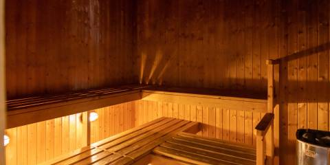 Ohtel-Auckland-Sauna.jpg