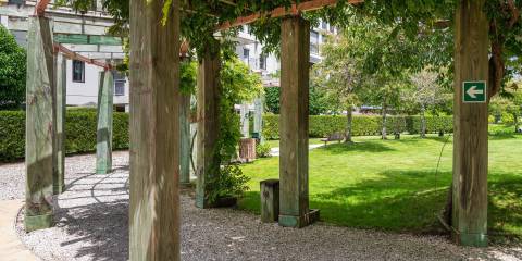 Ohtel-Auckland-Walkway-around-park.jpg