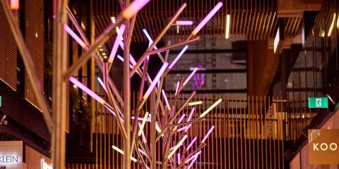 Sprig