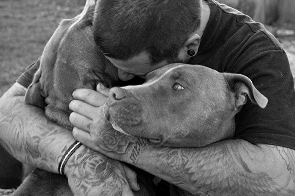 Dog's Best Friend - New Zealand International Film Festival 2018