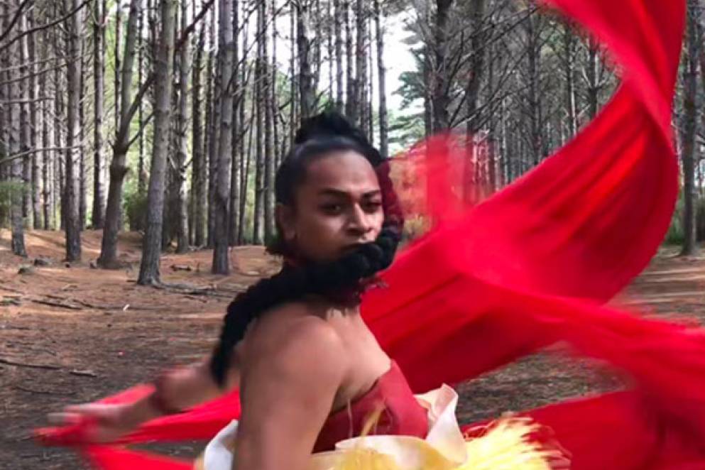 Auckland Pride Festival Highlights
