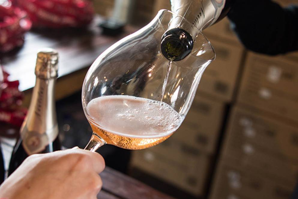 Pinot Palooza 2018