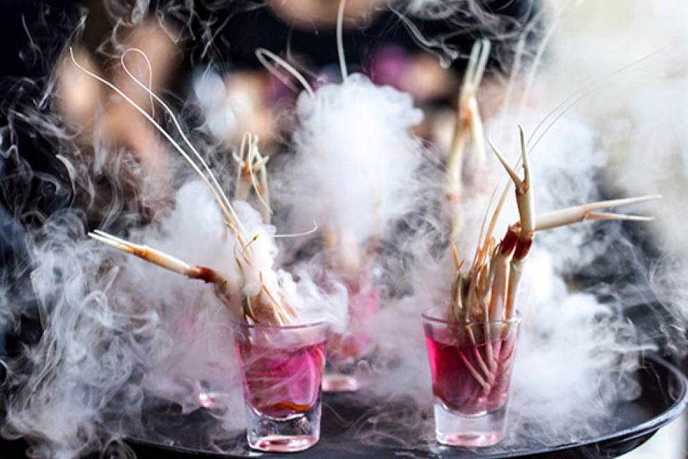 Dining During Auckland Arts Festival