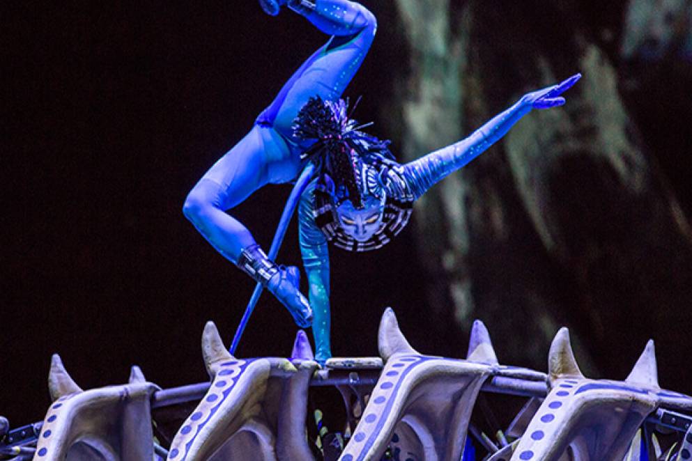 Cirque Du Soleil: Toruk - The First Flight