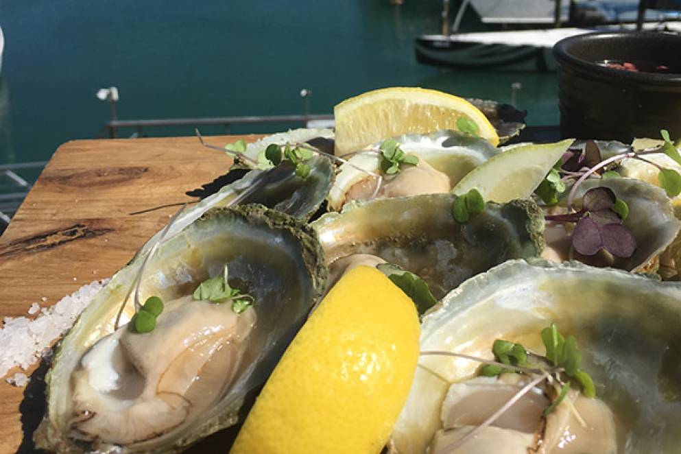Dr Rudi's Annual Oyster Run – Charity Gig