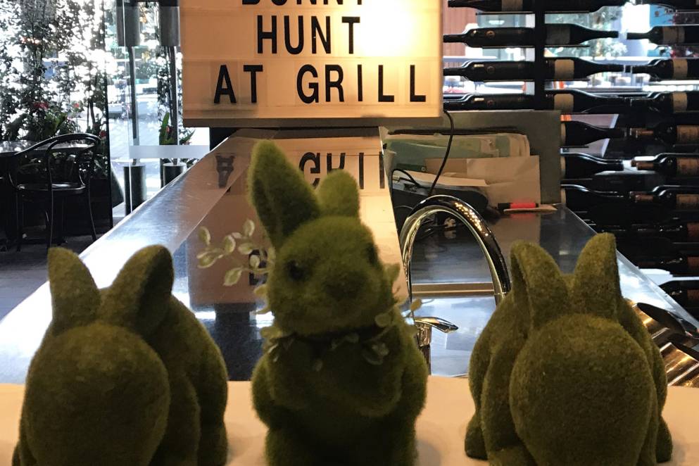 Bunny Hunt at SKYCITY