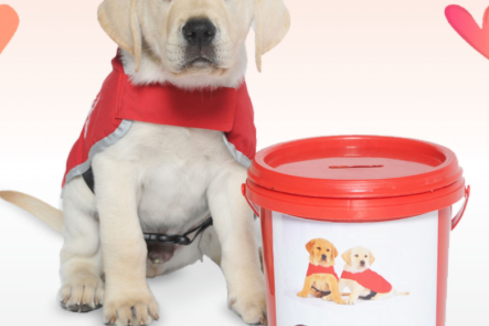 Red Puppy Appeal