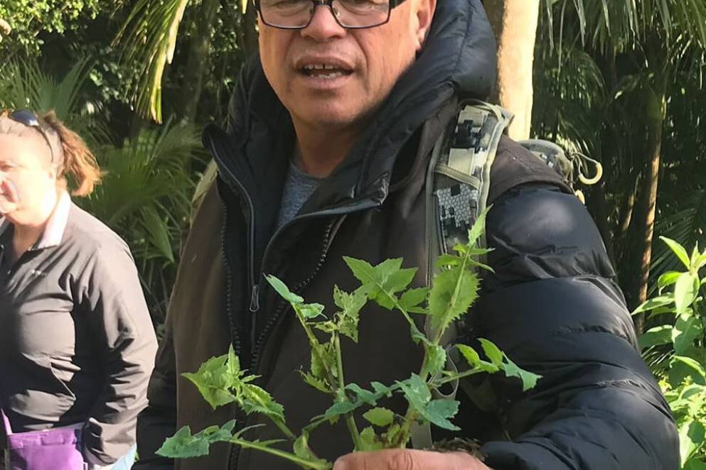 urban forage