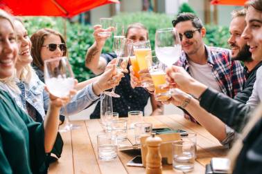 People cheering their drinks