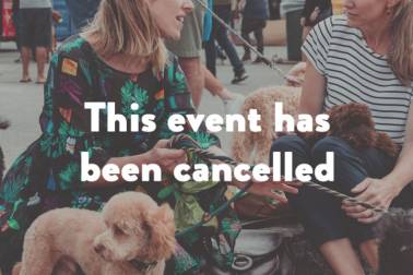 Dog Day Afternoon cancelled
