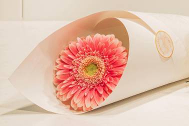 Britomart-Florist.jpg