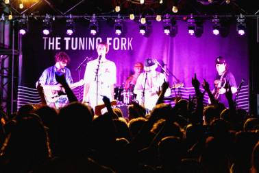 Tuning Fork term hero v1