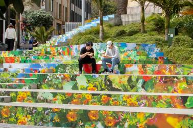 Freyberg Steps