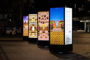 Lightboxes on Te Komititanga