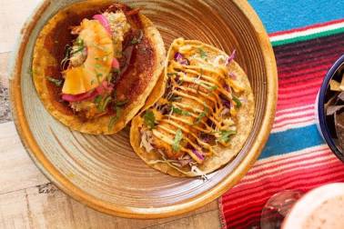 Frida Cocina Taco Tuesday