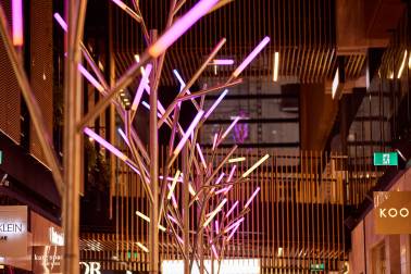Sprig