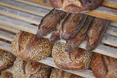 Daily Bread