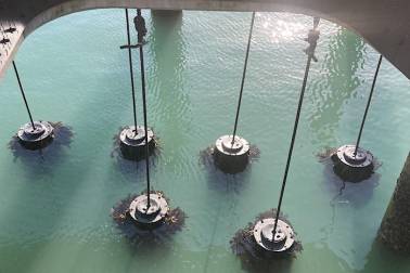 Te Wananga guided walk.JPG