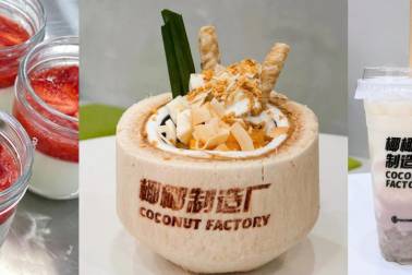 Coconut Factory banner