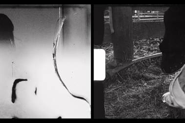 Art Week 2024 - Gus Fisher - Dayle_Palfreyman