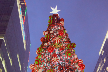 Tree banner xmas24 1