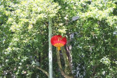 red lanterns on city centre streets LNY25