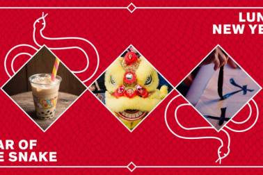 Lunar New Year 2025 - AAG 2