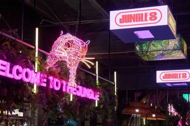 JUNGLE 8