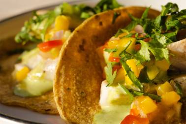 The Parasol &amp; Swing Company Tacos
