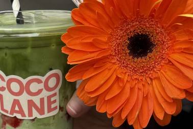 Coco Lane x Snickel Lane Florist
