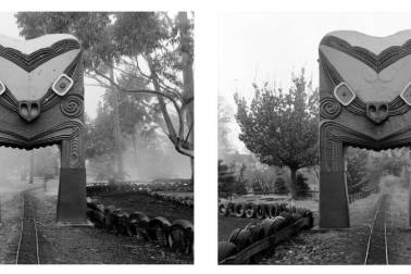 Mark Adams: A Survey | He Kohinga Whakaahua