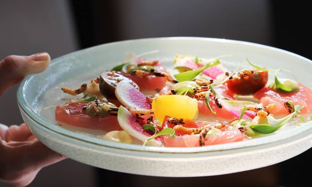 Sails Restaurant Auckland Restaurants Heart Of The City